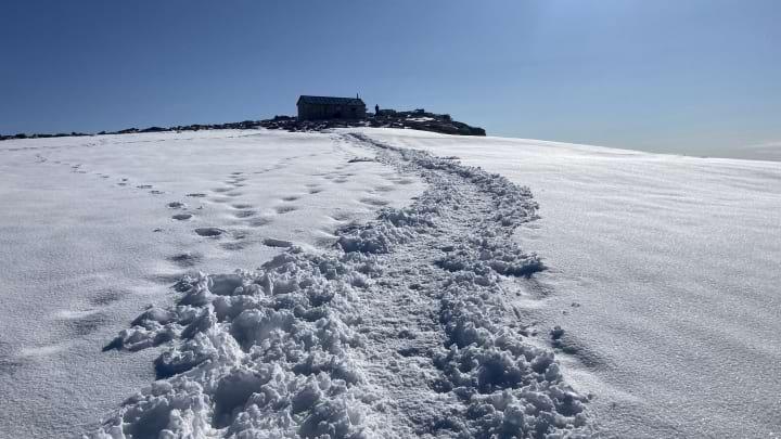 /images/writing/trip-report-mt-whitney/img-12.jpg